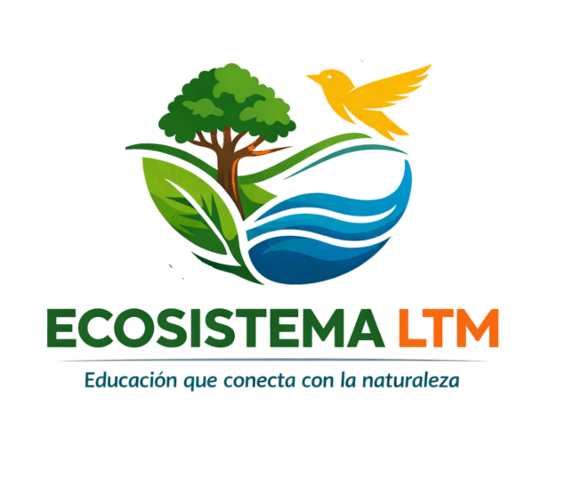 Diseño sin título (38)